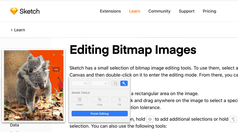 Editing Bitmap Images